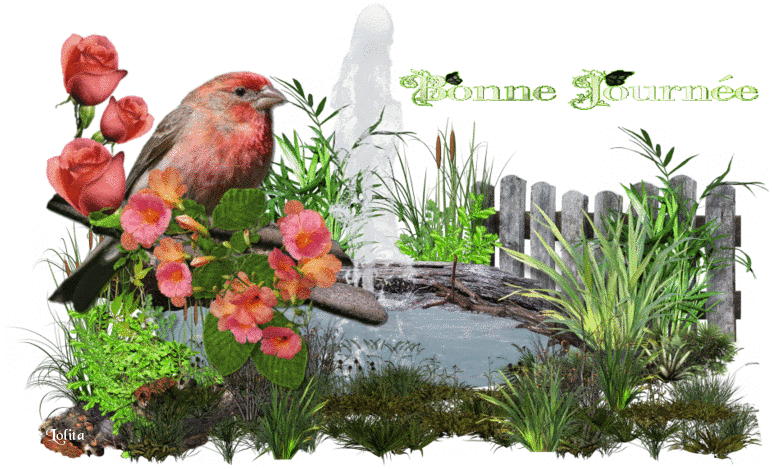 Les bonjours et contacts jounaliers du Mois de Mai 2019 2271f3b6